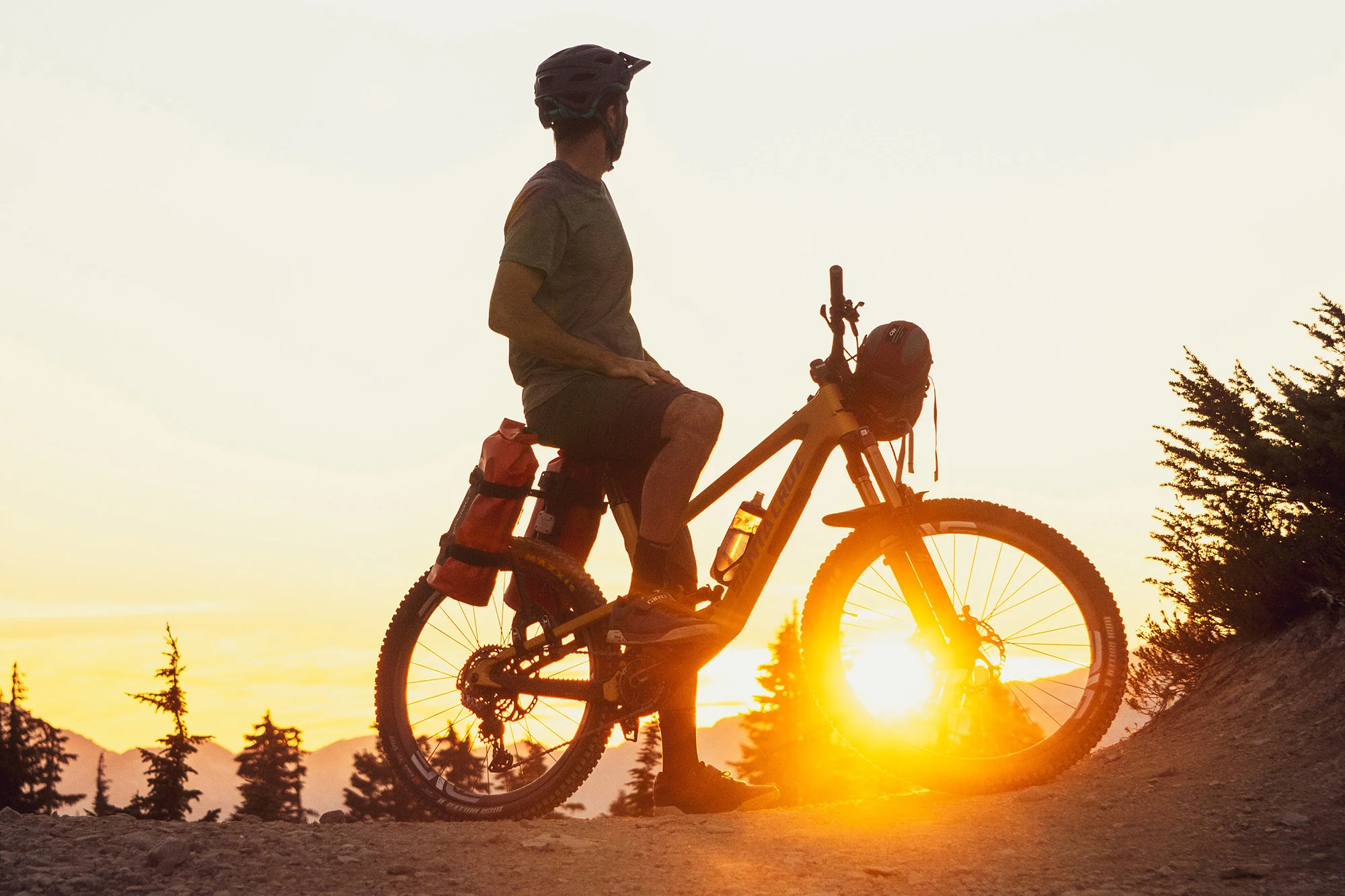 Spider Rear Rack - Image 16